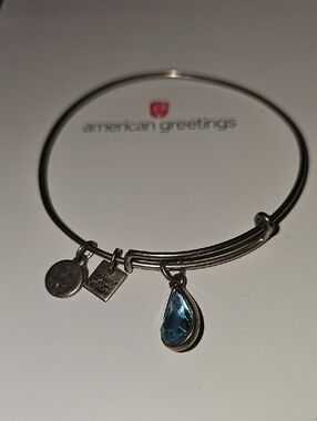 Alex and Ani Living Water Charm Bangle Silver Bracelet